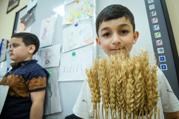 Rəfael Hüseynov adına 49 №li İntellekt məktəb-liseydə Yay məktəbi təşkil olunub - Sputnik Азербайджан