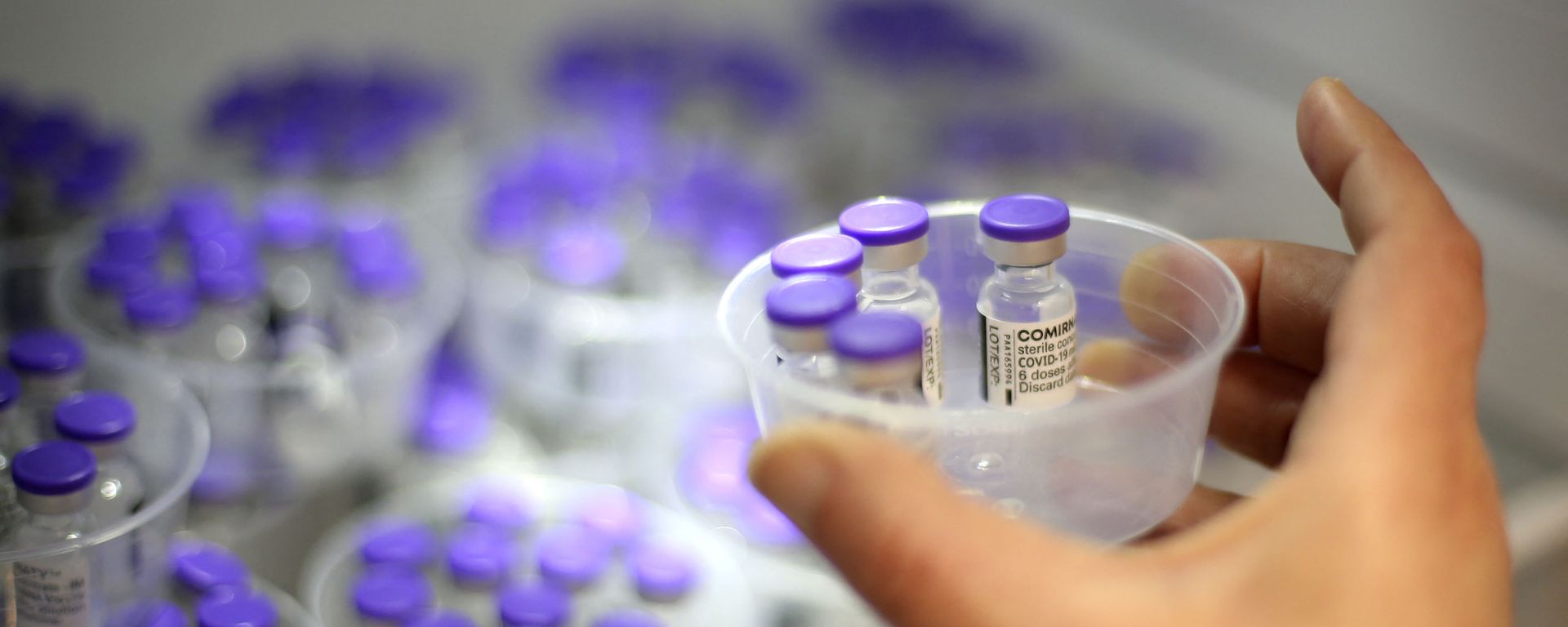 Вакцина от коронавируса Pfizer-BioNTech, фото из архива - Sputnik Азербайджан, 1920, 24.11.2021