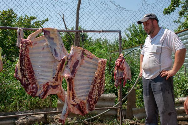 Qazaxda Qurban bayramı - Sputnik Азербайджан
