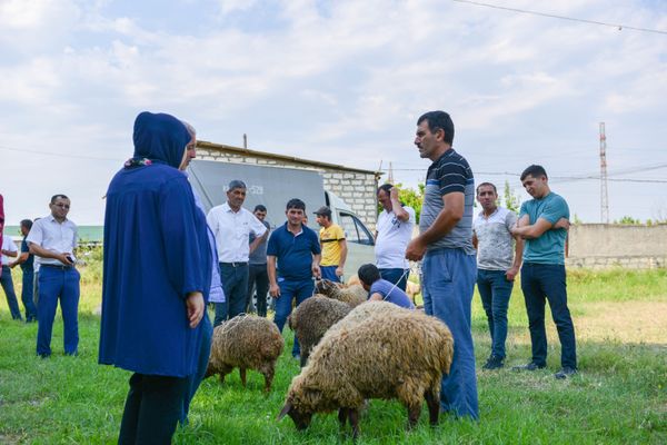 Qazaxda Qurban bayramı - Sputnik Азербайджан