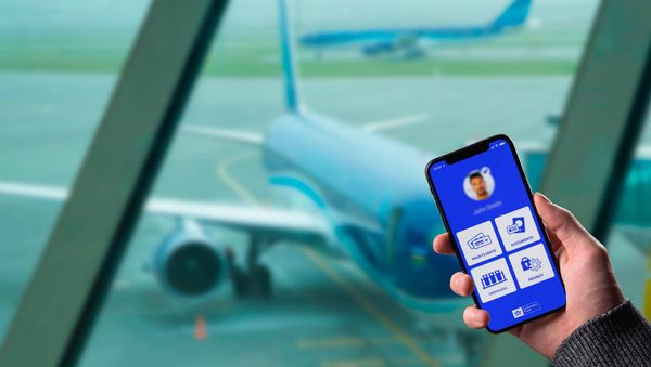 АЗАЛ запускает тестовое применение IATA Travel Pass - Sputnik Азербайджан