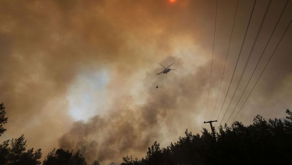 Лесной пожар в Турции Лесной пожар в Турции - Sputnik Азербайджан