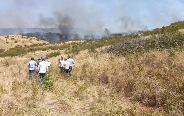 Gəgəli kəndi yaxınlığında yanğın - Sputnik Азербайджан