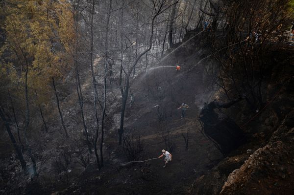 Пожары уничтожили огромные участки леса в курортных турецких провинциях Анталья и Мугла. - Sputnik Азербайджан