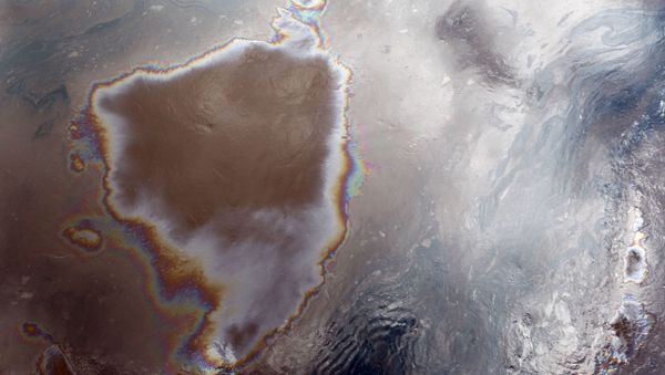 Разлив нефти в Новгородской области - Sputnik Азербайджан