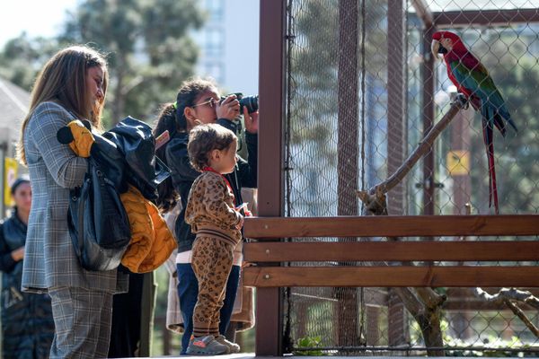 Реконструкция зоопарка была проведена по инициативе руководителя общественного объединения IDEA Лейлы Алиевой. - Sputnik Азербайджан