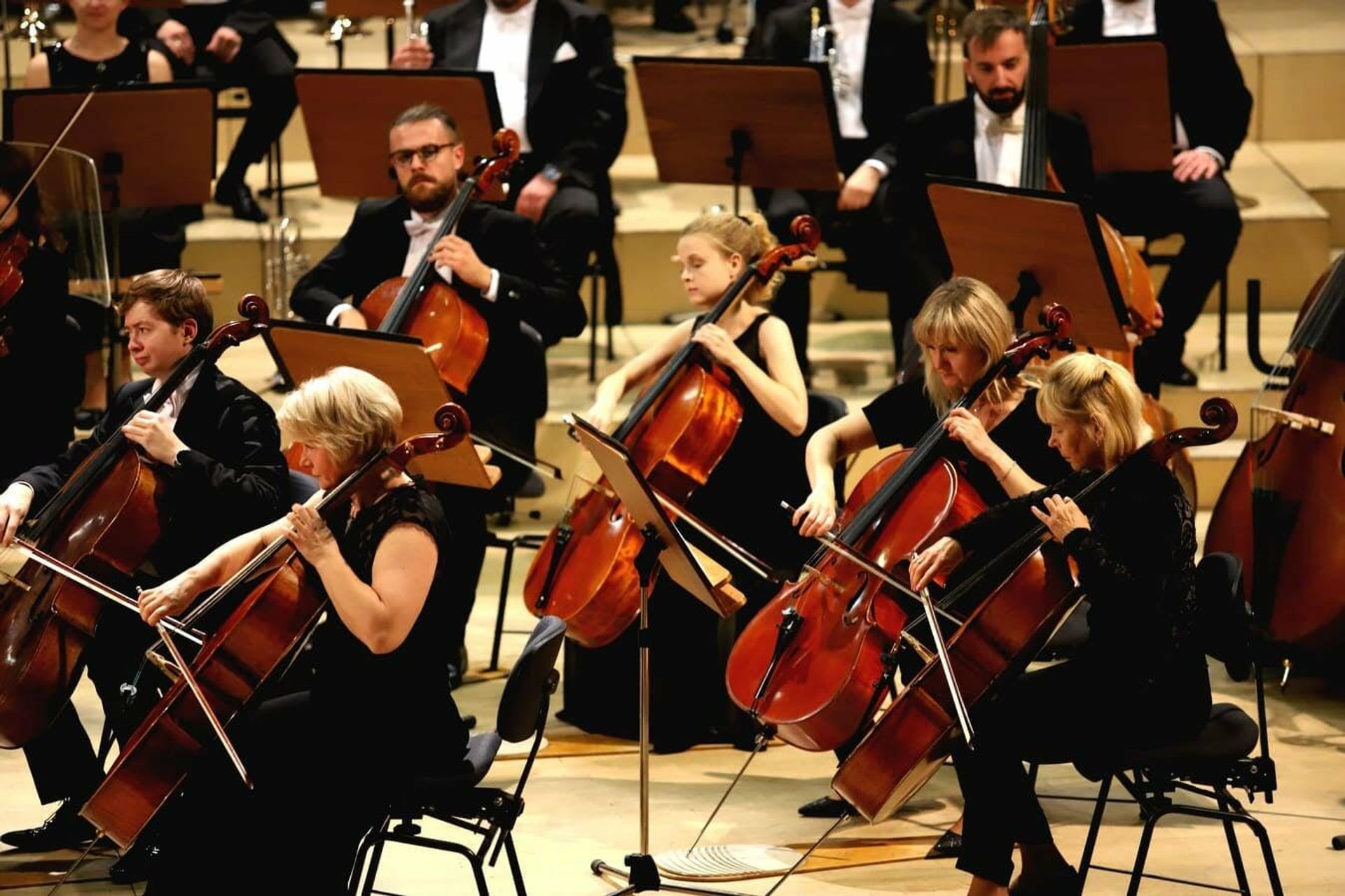 Концерт Azərbaycan Notası - Simfonik Konserti под управлением заслуженного артиста Азербайджана Эйюба Гулиева - Sputnik Азербайджан, 1920, 12.10.2021