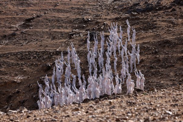 Участники позируют обнаженными перед американским арт-фотографом Spencer Tunick, работающим над фотоинсталляцией в пустыне в окрестностях израильского города Арад. - Sputnik Азербайджан