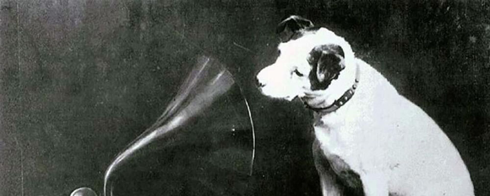 Ниппер - Sputnik Азербайджан, 1920, 01.11.2021