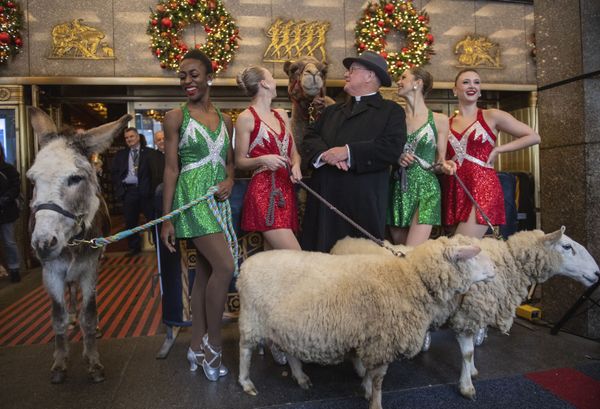 Кардинал Нью-Йорка Тимоти Долан и Radio City Rockettes c верблюдом, овцами и ослом в постановке рождественского спектакля в Radio City Music Hall в Нью-Йорке. - Sputnik Азербайджан