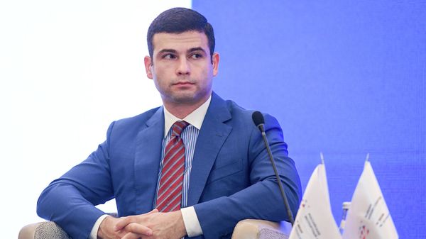 Председатель правления Агентства по развитию малого и среднего бизнеса (МСБ) Орхан Мамедов - Sputnik Азербайджан