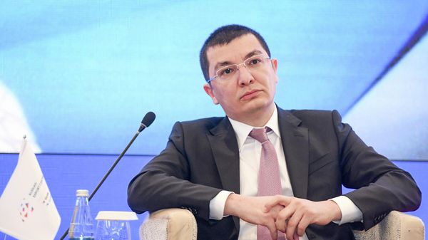 İqtisadiyyat nazirinin müavini Elnur Əliyev - Sputnik Азербайджан