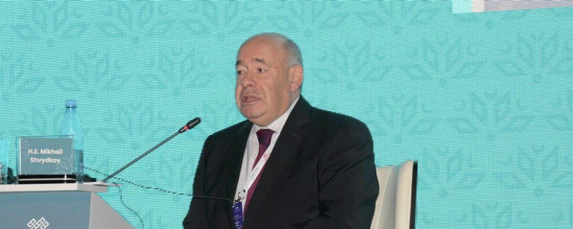 Спецпредставитель президента России по международному культурному сотрудничеству Михаил Швыдкой - Sputnik Азербайджан, 1920, 24.11.2021