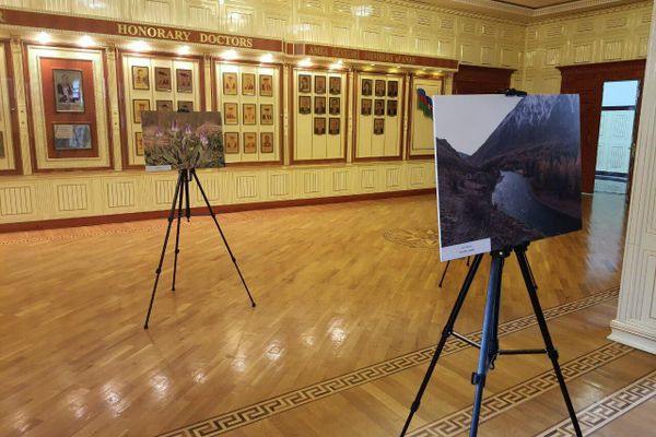 Фотографии на выставке &quot;Алтай – родина тюрков&quot; - Sputnik Азербайджан