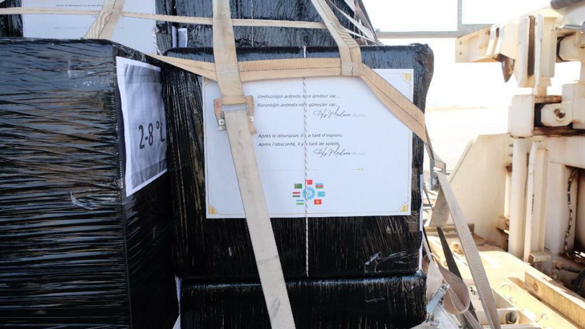 Azərbaycandan Burkina Fasoya 100.000 doza Sinovac peyvəndi çatdırılıb - Sputnik Азербайджан, 1920, 07.12.2021