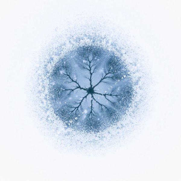 Снимок Ice cell румынского фотографа Gheorghe Popa, победивший в категории NATURE ART конкурса Nature Photographer of the Year 2021. - Sputnik Азербайджан