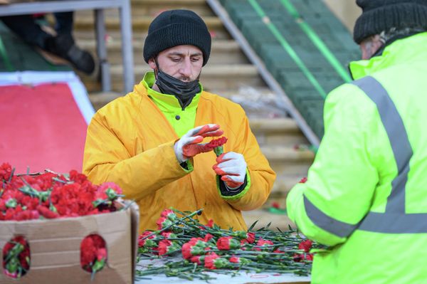 На Аллее шехидов началась подготовка к 32-й годовщине трагедии 20 Января. - Sputnik Азербайджан
