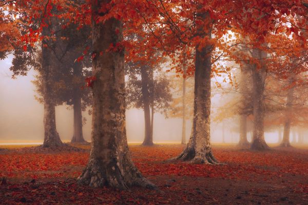 Снимок американского фотографа Jai Shet, победившего в категории YOUNG TRAVEL PHOTOGRAPHER OF THE YEAR 2021 конкурса 2021 Travel Photographer of the Year. - Sputnik Азербайджан