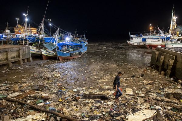 Снимок норвежского фотографа Johnny Haglund, победившего в категории GREEN PLANET в конкурсе 2021 Travel Photographer of the Year. - Sputnik Азербайджан