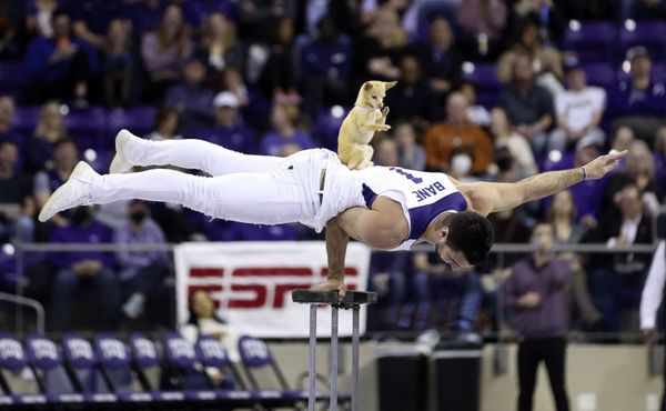 Кристиан и Скуби выступают в перерыве между таймами игры между TCU Horned Frogs и Texas Longhorns на Ed and Rae Schollmaier Arena, США. - Sputnik Азербайджан