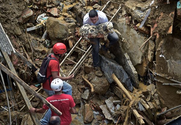 Мужчина спасает собаку после оползня в Петрополисе, Бразилия. - Sputnik Азербайджан