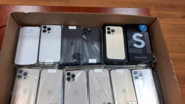 Перехваченная партия контрабандных Apple - Sputnik Азербайджан