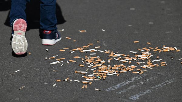 Окурки сигарет, фото из архива - Sputnik Азербайджан