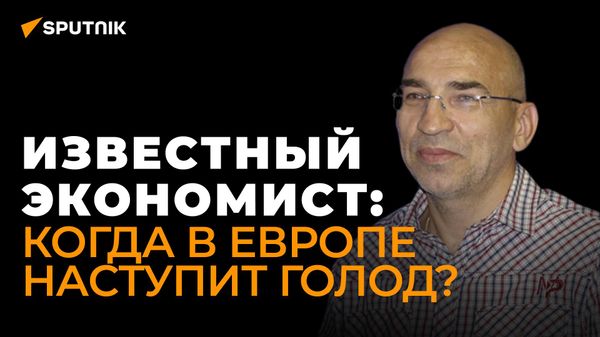 Крутаков: остановка поставок российского газа заставит Европу платить за него в рублях - Sputnik Азербайджан
