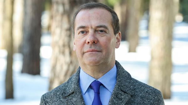 Заместитель председателя Совета безопасности РФ Дмитрий Медведев, фото из архива - Sputnik Азербайджан