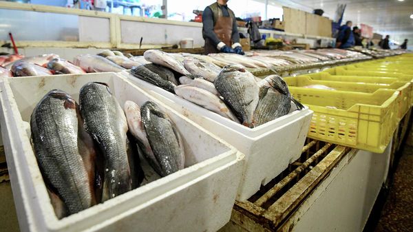 Продажа рыбы на рынке в Баку - Sputnik Азербайджан