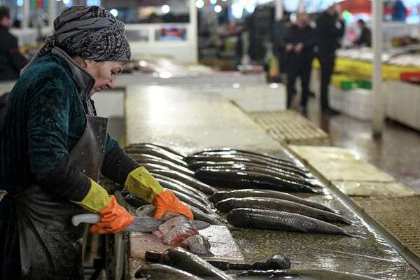 В основном Азербайджан импортирует рыбу из Ирана, России, Турции, Аргентины, Чили и Китая. - Sputnik Азербайджан