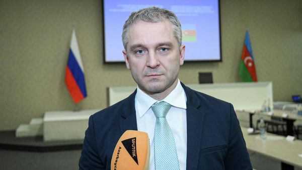 Заместитель министра экономического развития России Дмитрий Вольвач - Sputnik Азербайджан