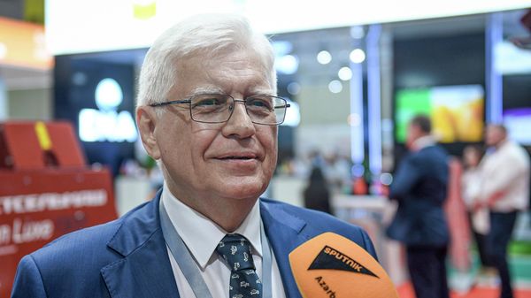 Посол РФ в Азербайджане Михаил Бочарников - Sputnik Азербайджан