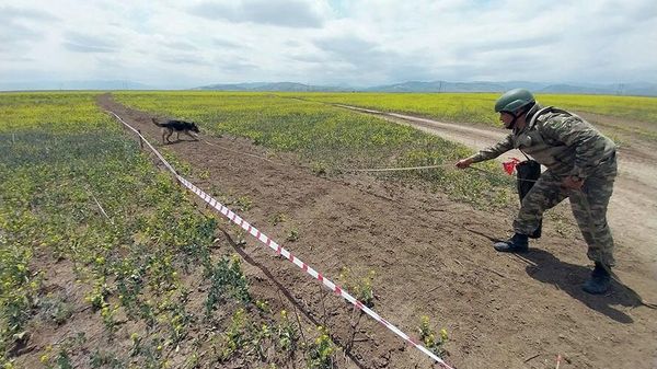 Инженерные работы на территориях, освобожденных в результате Отечественной войны - Sputnik Азербайджан