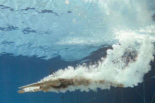 Спортсмены из России и Беларуси в чемпионате участия не принимают — команда отстранена от международных соревнований. - Sputnik Азербайджан
