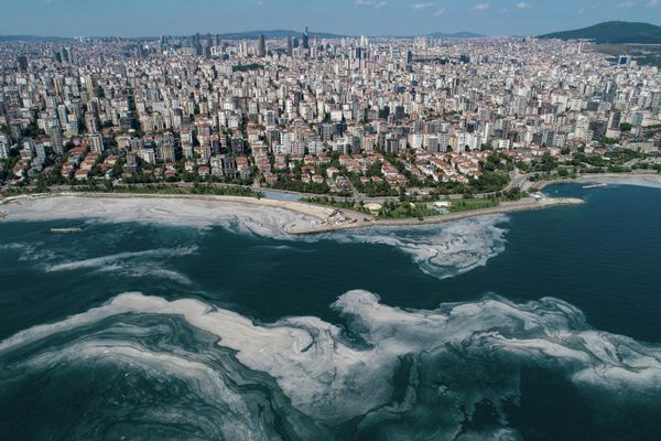 Турция. Познакомьтесь с морской слизью, еще одним &quot;даром&quot; глобального потепления. Моя планета, серии - Sputnik Азербайджан