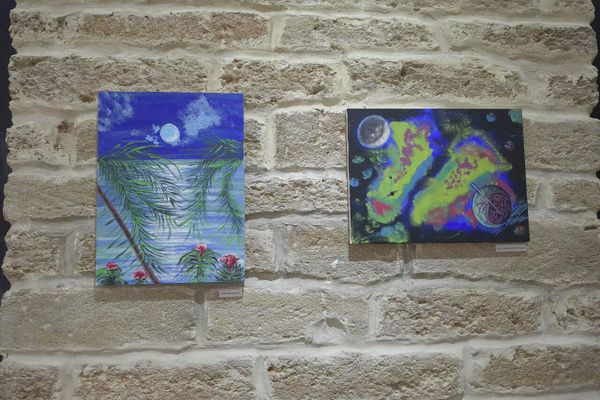 В галерее Nu Art House открылась дебютная выставка азербайджанской художницы Саида Зохрабовой под названием «В пучине фантазий» - Sputnik Азербайджан