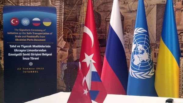 Перед началом встречи министра обороны РФ Сергея Шойгу, прибывшего в Стамбул подписании документов о снятии ограничений на поставку российских продуктов на экспорт и о содействии России вывозу украинского зерна и министра обороны Турции Хулуси Акара. - Sputnik Азербайджан