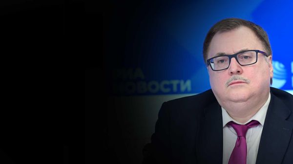 Маслов рассказал, зачем Пелоси на самом деле прилетела на Тайвань - Sputnik Азербайджан