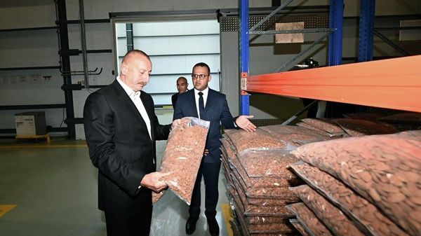 Президент Азербайджанской Республики Ильхам Алиев и первая леди Мехрибан Алиева ознакомились с деятельностью предприятия ООО Grand-Agro Invitro, а также приняли участие в открытии завода по переработке миндаля ООО Azbadam - Sputnik Азербайджан