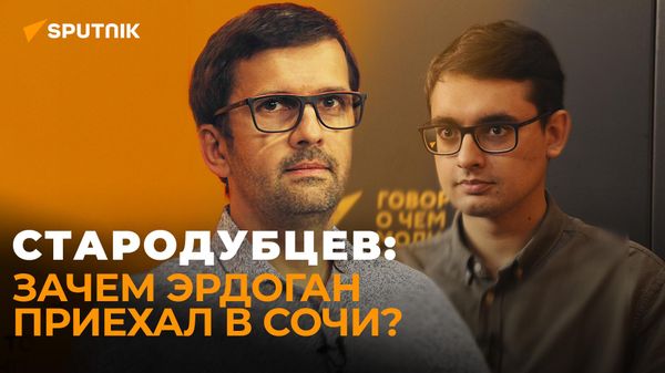Эксперт о визите Эрдогана в Сочи: Россия будет сотрудничать с Анкарой в области вооружения - Sputnik Азербайджан