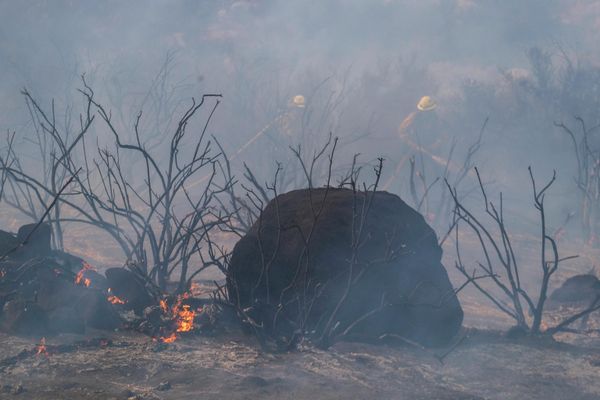 Пожарные разбрызгивают воду на горячие точки во время лесного пожара недалеко от Хемета, Калифорния. - Sputnik Азербайджан
