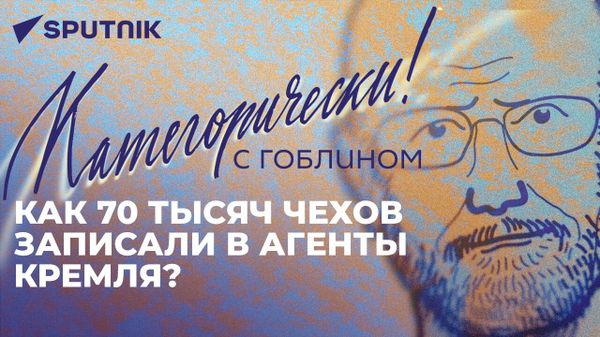 Пучков о протестах в Европе, подготовке Польши к войне - Sputnik Азербайджан