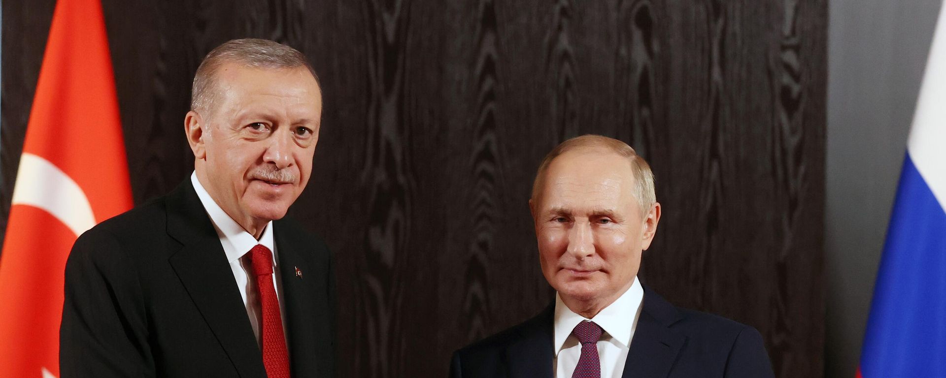  Rusiya prezidenti Vladimir Putin və Türkiyə prezidenti Rəcəb Tayyib Ərdoğan görüş zamanı - Sputnik Азербайджан, 1920, 26.02.2024
