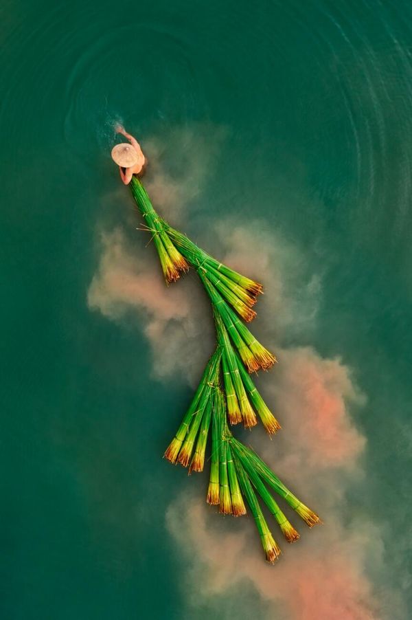 Снимок Collecting Bang Grass вьетнамского фотографа Huu Binh Nguyen, высоко оцененный в категории People конкурса Drone Photo Awards 2022. - Sputnik Азербайджан