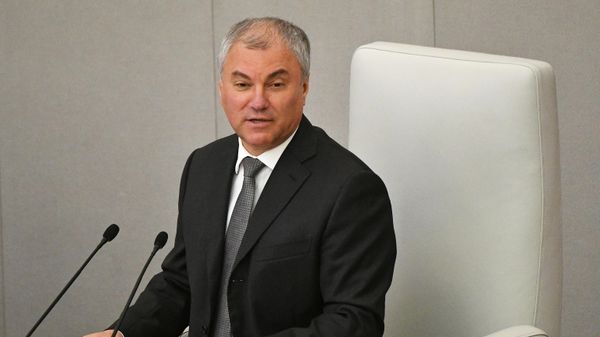 Председатель Государственной Думы РФ Вячеслав Володин - Sputnik Азербайджан