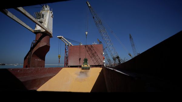 Украинское зерно - Sputnik Азербайджан