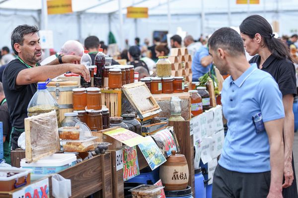 Республиканская выставка-ярмарка продукции пчеловодства в Баку. - Sputnik Азербайджан