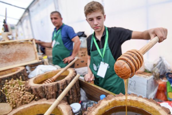 Республиканская выставка-ярмарка продукции пчеловодства в Баку. - Sputnik Азербайджан