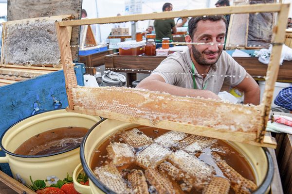 Республиканская выставка-ярмарка продукции пчеловодства в Баку. - Sputnik Азербайджан